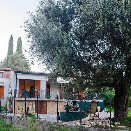 Traditional House *