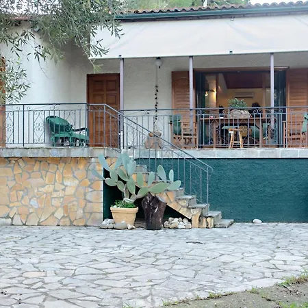 Traditional House Ipsos
