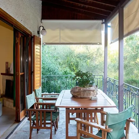 Traditional House